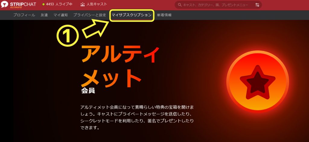 stripchatのアルティメット会員とは?メリデメ・登録方法を紹介 28