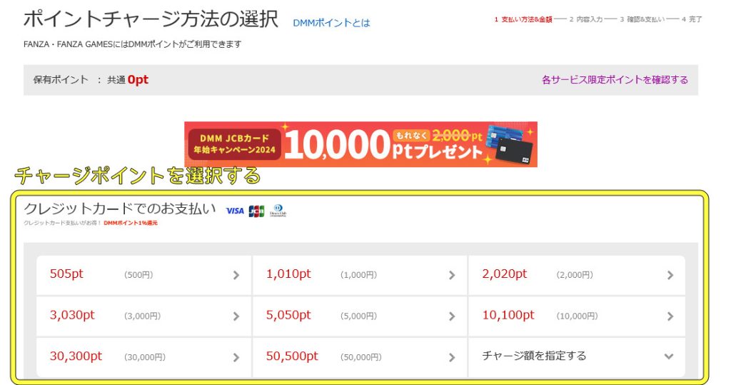stripchatでVisa eギフトカードを使ってみた|課金方法や注意点を解説 FANZAポイント購入手順04