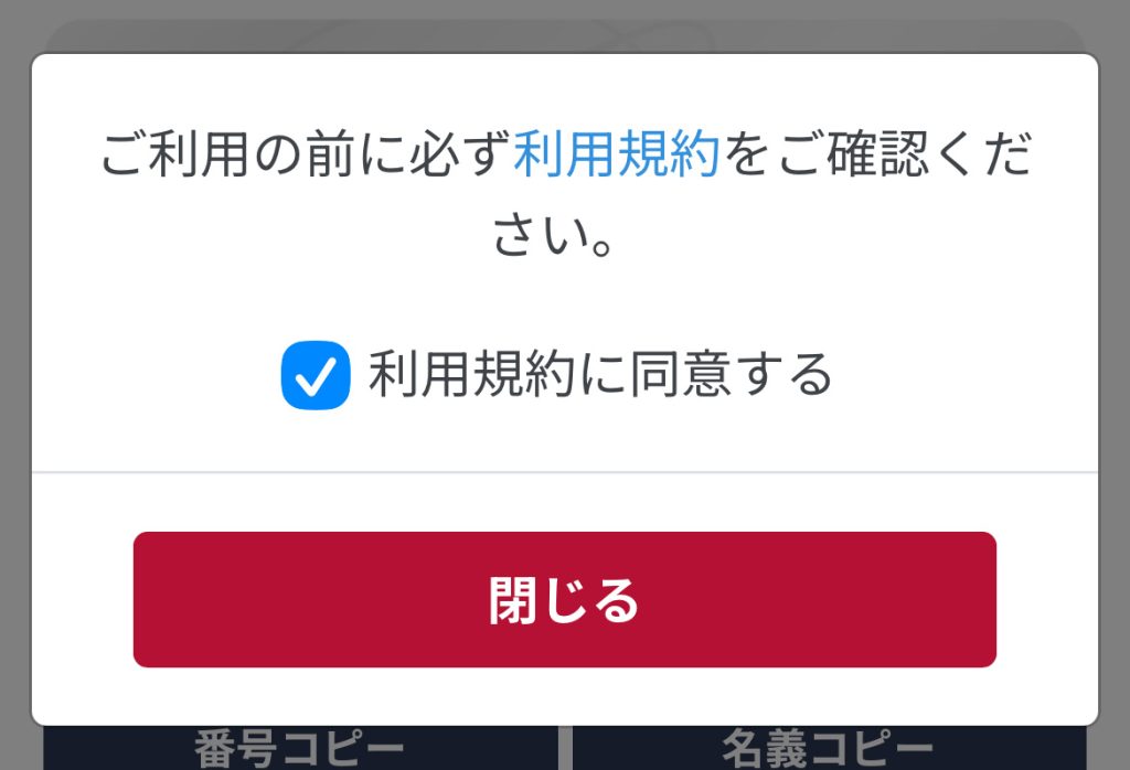 stripchatでVisa eギフトカードを使ってみた|課金方法や注意点を解説 利用手順03